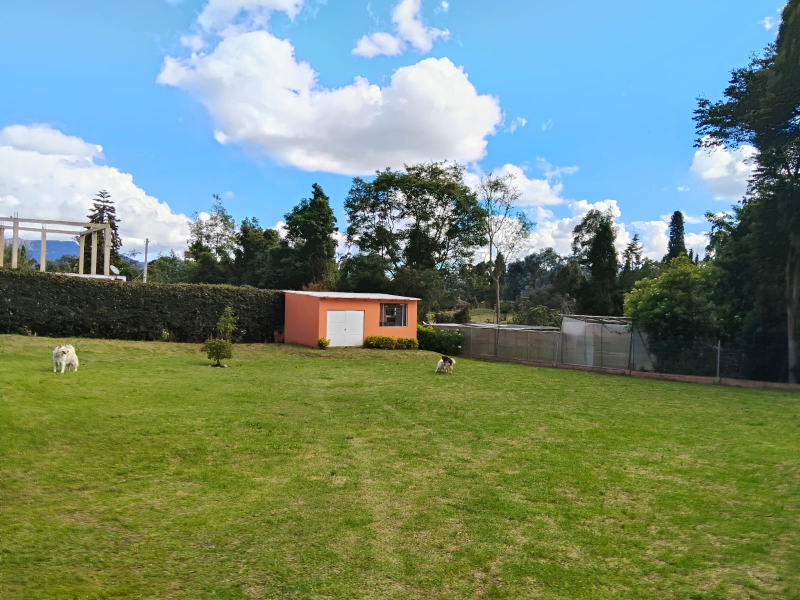 SE VENDE CASAQUINTA FONQUETA CHIA - AINSUCA - Imagen 64